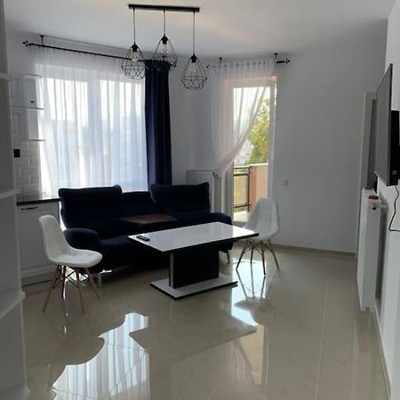 Cozy Apartment In The Center Of Cluj-Napoca Ngoại thất bức ảnh